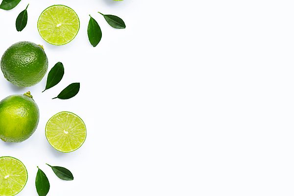 포토 JPG 해외이미지 잎 단면 사람없음 모서리 흰배경 라임 카피스페이스 해외포토 식물 백그라운드 과일 공백 흰색 파일형식 이미지허브