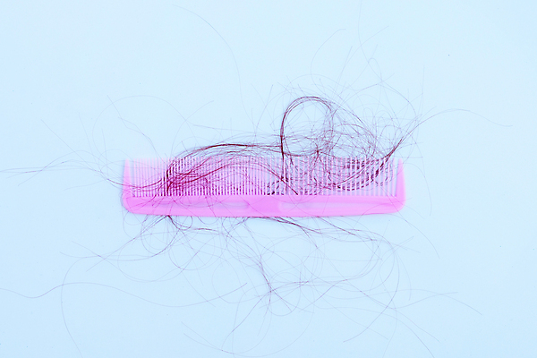 포토 JPG 해외이미지 실내 사람없음 머리카락 머리빗 오브젝트 파란배경 탈모 숱 해외포토 백그라운드 내부 파란색 머리 미용용품 증상 파일형식 이미지허브