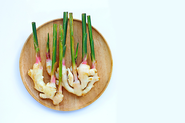 포토 JPG 해외이미지 줄기 실내 사람없음 하이앵글 흰배경 담기 생강 나무접시 해외포토 식물 접시 뷰포인트 백그라운드 채소 모션 내부 흰색 파일형식 이미지허브