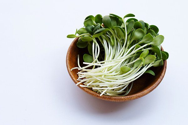 포토 JPG 해외이미지 백그라운드 사람없음 신선 흰배경 유기농 담기 나무그릇 새싹채소 해외포토 그릇 웰빙 채소 모션 목재 흰색 파일형식 이미지허브