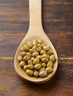 포토 JPG 해외이미지 식물 음식 다이어트 채소 재료 콩 건조 건강 요리 씨앗 사람없음 목재 갈색 노란색 숟가락 식사 흰색 신장 낟알 유기농 날것 섬유 내추럴 단백질 채식주의자 비건 해외포토 나무 웰빙 컬러 곡류 수저 직물 비뇨기관 채식 영양소 파일형식 이미지허브