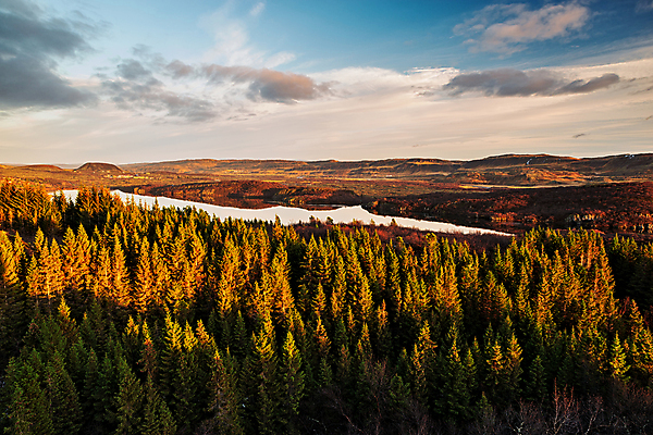 포토 JPG 해외이미지 나무 계절 유럽 호수 여행 자연 하늘 산 아이슬란드 사람없음 야외 가로 물 태양 일몰 황금 숲 내추럴 해외포토 자연요소 식물 나라 노을 생태계 파일형식 이미지허브