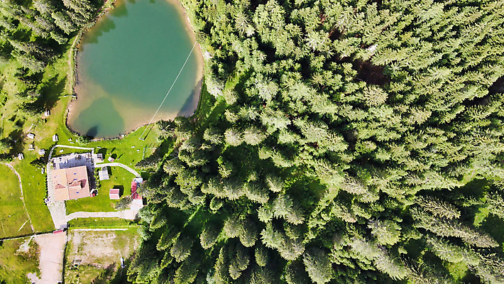 포토 JPG 해외이미지 나무 공원 여행 하늘 사람없음 야외 숲 항공촬영 해외포토 식물 공공시설 뷰포인트 파일형식 이미지허브