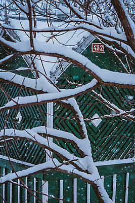 포토 JPG 해외이미지 나무 식물 조각 크리스마스 겨울 자연 유리 앉기 풍경 사람없음 야외 목재 물 울타리 케이크 얼음 추위 나뭇가지 작음 심볼 사인 도로표지판 서리 소화전 해외포토 자연요소 계절 기념일 도로 재료 모션 재질 디저트 담장 표지판 안전장비 크기 생태계 파일형식 이미지허브