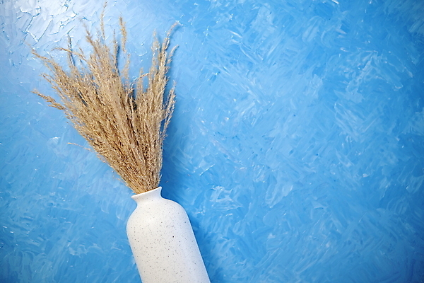 포토 JPG 해외이미지 식물 디자인 계절 꽃 벽 꽃다발 백그라운드 컨셉 꽃무늬 자연 유리 주택 건조 사람없음 내부 장식 빛 뷰티 노란색 꽃병 흰색 나뭇가지 다발 꽃집 질감 심플 솜털 내추럴 고립 구성 스칸디나비아 정물화 파스텔톤 스타일 카피스페이스 미니멀리스트 미니멀 해외포토 나무 컬러 무늬 재질 건물 상점 공백 그림 생태계 파일형식 이미지허브