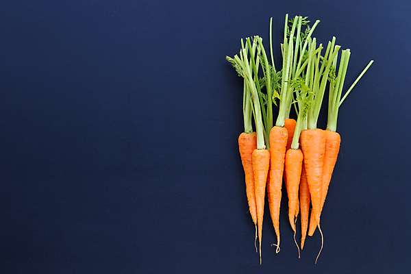 포토 JPG 해외이미지 실내 사람없음 하이앵글 당근 파란배경 카피스페이스 해외포토 뷰포인트 백그라운드 뿌리채소 내부 파란색 공백 파일형식 이미지허브