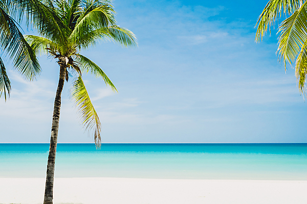 포토 JPG 해외이미지 주간 하늘 해변 사람없음 야외 여름 야자수 여름풍경 수평선 해외포토 자연요소 나무 계절 바다 풍경 파일형식 여름_계절 이미지허브