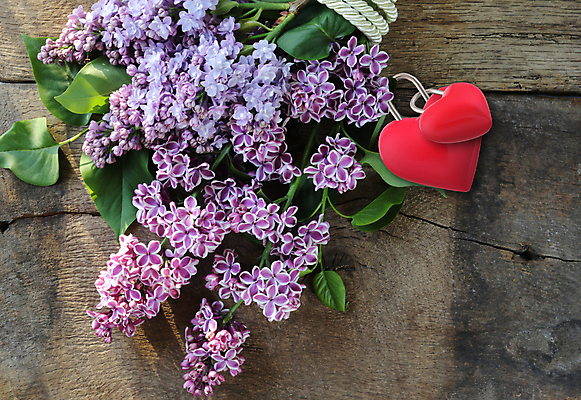 포토 JPG 해외이미지 식물 디자인 계절 여자 꽃잎 꽃 분홍색 꽃다발 결혼 백그라운드 잎 꽃무늬 자연 결혼식 미술 사람없음 장식 초록색 컬러풀 뷰티 장미 정원 보라색 봄 수확 벚꽃 신선 신용카드 생일 개화 제비꽃 내추럴 구성 엘리먼트 해외포토 기념일 컬러 무늬 농업 문화예술 사람 이벤트 금융 생태계 파일형식 이미지허브