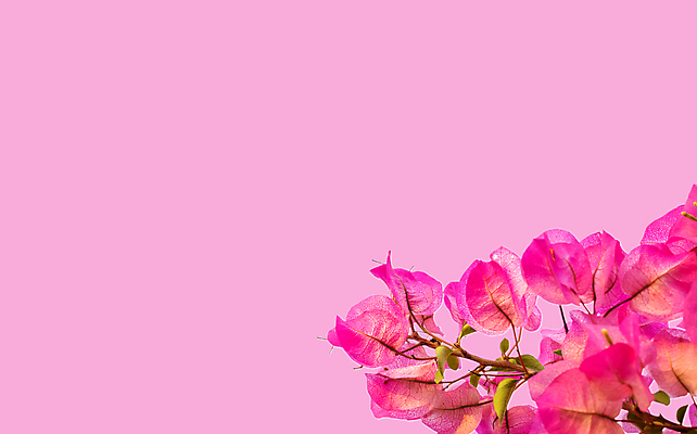 포토 JPG 해외이미지 어린이 결혼 손가락 엄마 프레임 발렌타인데이 사랑 소년 사람없음 가로 스파 고요 행성 축하 얼룩 변화 우아함 개 순수 감사 생물학 향기 심플 초대 공상 S 그런지 세피아 어머니의날 세련 해외포토 손 알파벳 교육 기념일 남자 감정 컨셉 포유류 가족 데이이벤트 촬영기법 사람 이벤트 우주 냄새 미국문화 파일형식 이미지허브