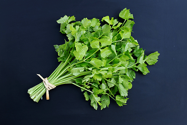 포토 JPG 해외이미지 백그라운드 검은배경 사람없음 신선 다발 묶기 유기농 샐러리 해외포토 웰빙 채소 모션 검은색 파일형식 이미지허브