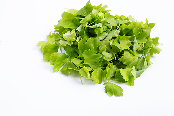 포토 JPG 해외이미지 백그라운드 잎 사람없음 신선 흰배경 유기농 샐러리 해외포토 식물 웰빙 채소 흰색 파일형식 이미지허브