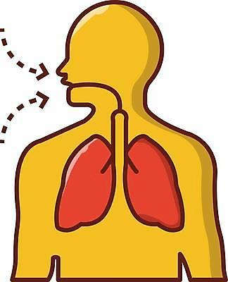 EPS 해외이미지 모양 신체 일러스트 해부 흡연 건강 사람 약 오르간 호흡기관 플랫 바이러스 호흡 질병 사인 생물학 심플 감염 암 고립 궤 돌봄 해외일러스트 교육 의학 모션 담배 장기_의학 건반악기 파일형식 벡터 이미지허브