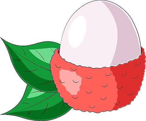 EPS 해외이미지 모양 디자인 어린이 음식 분홍색 스티커 잎 다이어트 과일 일러스트 포장 배낭 디저트 건강 미술 동양인 그래픽 장식 빨간색 초록색 상자 장난감 디지털 공책 신선 신용카드 인쇄 만화 먹기 오브젝트 싱글 그림 고립 엘리먼트 영양분 이국적 해외일러스트 식물 컬러 가방 모션 문화예술 문구용품 사람 인종 금융 파일형식 벡터 이미지허브