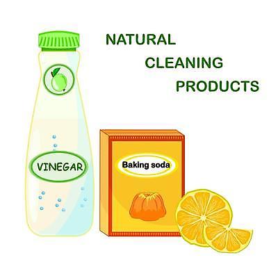 EPS 해외이미지 라이프스타일 지구 컨셉 오렌지 일러스트 가정 자연 주택 건강 안전 초록색 세트 상자 봄 빨래 상품 컨테이너 만화 가루 굽기 레몬 서비스 흰배경 에코 유기농 소금 패키지 청소부 DIY 내추럴 고립 돌봄 생태학 소다 식초 신맛 핸드메이드 해외일러스트 직업 웰빙 계절 교육 산업 컬러 백그라운드 가사 과일 모션 취미 건물 생활 환경 흰색 맛 구이 생태계 파일형식 벡터 이미지허브