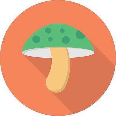 EPS 해외이미지 식물 디자인 음식 과학 백그라운드 컨셉 인터넷 채소 일러스트 비즈니스 자연 픽토그램 약 웹 버섯 흰색 신선 플랫 심볼 오브젝트 사인 유기농 생물학 내추럴 고립 곰팡이 독버섯 채식주의자 활자 해외일러스트 웰빙 교육 컬러 의학 생태계 채식 활자판 파일형식 벡터 이미지허브