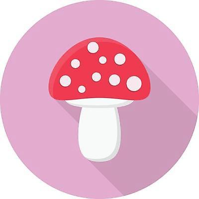 EPS 해외이미지 모양 식물 실루엣 음식 농업 채소 일러스트 자연 컵 버섯 심볼 사인 클립 슬라이스 심플 내추럴 고립 곰팡이 독버섯 밭일 캡모자 활자 해외일러스트 모자 식기 산업 촬영기법 생태계 활자판 파일형식 벡터 잡화 인쇄판 인쇄 이미지허브