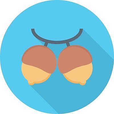 EPS 해외이미지 디자인 실루엣 선 음식 과일 일러스트 재료 자연 건강 씨앗 픽토그램 검은색 웹 견과류 심볼 유기농 알맹이 윤곽 내추럴 개암나무 고립 채식주의자 개암 해외일러스트 나무 식물 웰빙 열매 컬러 인터넷 촬영기법 생태계 채식 파일형식 벡터 이미지허브