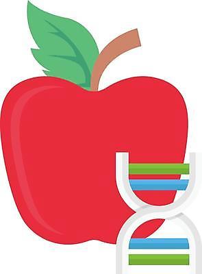 EPS 해외이미지 디자인 음식 과학 오렌지 과일 일러스트 자연 디저트 건강 신선 달콤 사과 DNA 심볼 사인 유기농 생물학 고립 유전 유전자변형 해외일러스트 웰빙 교육 맛 생명공학 생태계 파일형식 벡터 컨셉 의학 이미지허브