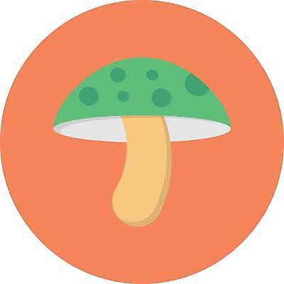 EPS 해외이미지 식물 디자인 음식 과학 백그라운드 컨셉 인터넷 채소 일러스트 비즈니스 자연 픽토그램 약 웹 버섯 흰색 신선 플랫 심볼 오브젝트 사인 유기농 생물학 내추럴 고립 곰팡이 독버섯 채식주의자 활자 해외일러스트 웰빙 교육 컬러 의학 생태계 채식 활자판 파일형식 벡터 인쇄판 인쇄 이미지허브