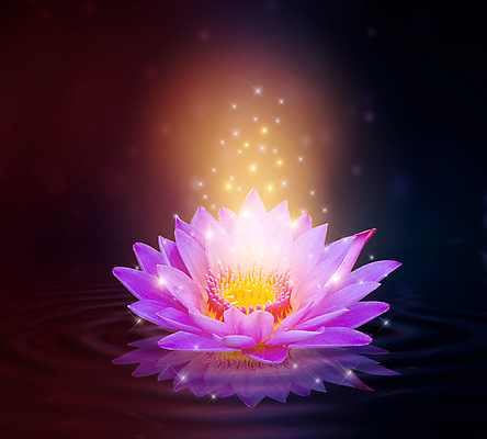 포토 JPG 해외이미지 식물 디자인 꽃잎 꽃 별 선 분홍색 백그라운드 컨셉 꽃무늬 일러스트 자연 벽지 동화 추상 휴식 사람없음 장식 물 파란색 빛 컬러풀 뷰티 노란색 평화 보라색 꿈 벚꽃 흰색 연못 개화 명상 싱글 공상 마법 이국적 해외일러스트 자연요소 컬러 무늬 생태계 파일형식 이미지허브