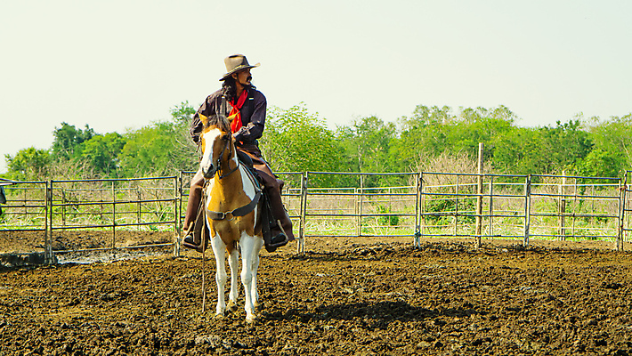 포토 JPG 해외이미지 주간 전신 한마리 남자 한명 앉기 성인 야외 울타리 목장 말_동물 승마 카우보이 카우보이모자 카우보이복장 성인남자한명만 해외포토 자연요소 모자_잡화 1 옷 스포츠 포유류 모션 사람 담장 남자한명만 성인남자만 파일형식 이미지허브