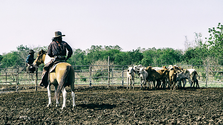 포토 JPG 해외이미지 주간 전신 남자 여러마리 앉기 성인 야외 두명 울타리 목장 말_동물 소 승마 카우보이 카우보이모자 카우보이복장 카우보이부츠 성인남자만 해외포토 자연요소 모자_잡화 옷 스포츠 다수 포유류 모션 부츠 사람 담장 남자만 성인만 파일형식 이미지허브