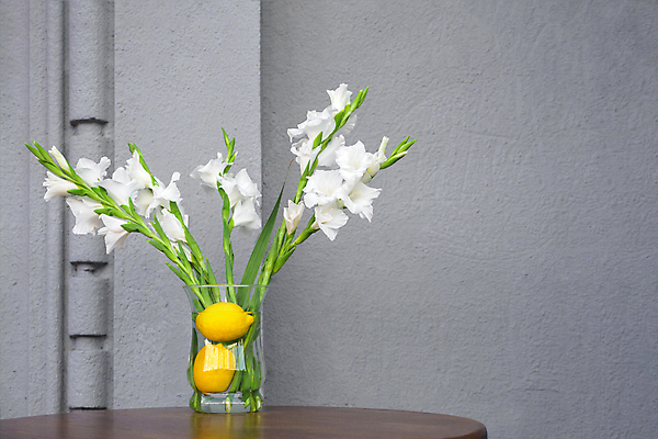 포토 JPG 해외이미지 디자인 벽 꽃다발 컨셉 꽃무늬 과일 탁자 사람없음 내부 장식 초록색 여름 노란색 식당 축제 봄 카페 수확 신선 바 개화 우아함 레몬 허브 유기농 냄새 내추럴 정물화 해외포토 식물 웰빙 계절 꽃 컬러 가구 무늬 농업 상점 그림 파일형식 이미지허브