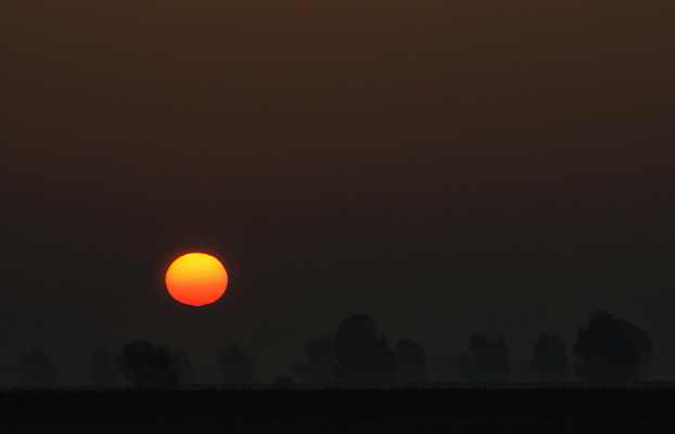 포토 JPG 해외이미지 나무 실루엣 자연 아침 사람없음 태양 평화 일출 침묵 황혼 안개 네덜란드 뿌연 해외포토 주간 자연요소 식물 유럽 컨셉 날씨 촬영기법 노을 소리 일몰 생태계 파일형식 이미지허브