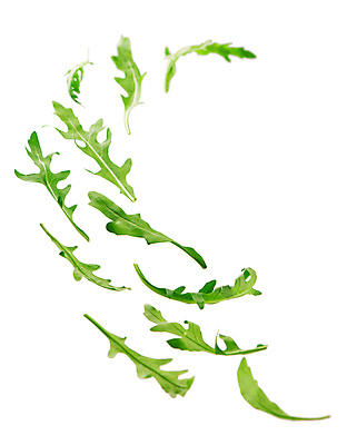 포토 JPG 해외이미지 잎 채소 사람없음 초록색 허브 루꼴라 그리너리 해외포토 식물 컬러 파일형식 트랜드컬러 이미지허브