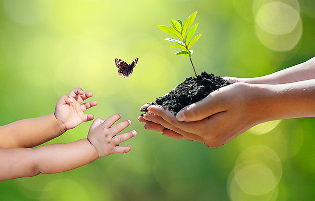 포토 JPG 해외이미지 손 나비 자연 생명 잔디 신체부위 새싹 흙 주기 에코 손모으기 해외포토 식물 곤충 모션 사람 손짓 환경 생태계 파일형식 이미지허브