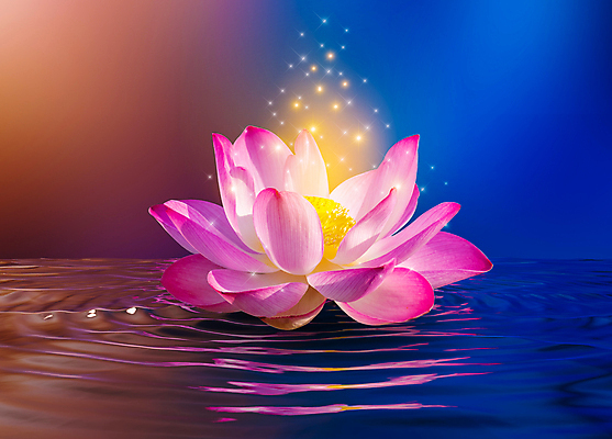 포토 JPG 해외이미지 식물 디자인 꽃잎 꽃 별 선 분홍색 백그라운드 컨셉 꽃무늬 일러스트 자연 벽지 동화 추상 휴식 사람없음 장식 물 파란색 빛 컬러풀 뷰티 노란색 평화 보라색 꿈 벚꽃 흰색 연못 개화 명상 싱글 공상 마법 이국적 해외일러스트 자연요소 컬러 무늬 생태계 파일형식 이미지허브