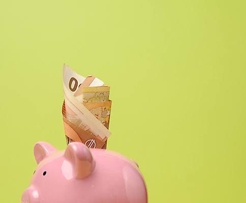 포토 JPG 해외이미지 분홍색 지폐 사람없음 연두색 돼지저금통 꽂음 해외일러스트 해외포토 컬러 돈 초록색 저금통 파일형식 이미지허브