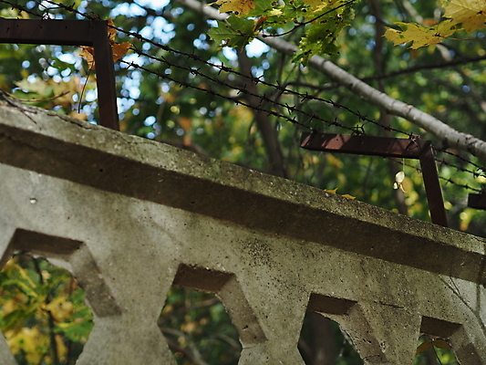 포토 JPG 해외이미지 나무 사람없음 울타리 숲 오브젝트 보안 철사 철조망 해외포토 식물 안전 담장 파일형식 이미지허브