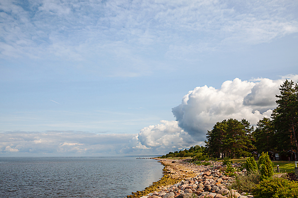 포토 JPG 해외이미지 나무 공원 모래 바다 여행 백그라운드 자연 벽지 하늘 휴식 사람없음 야외 목재 초록색 일몰 꿈 하이킹 시골 소나무 황무지 저녁 숲 명상 내추럴 라트비아 리투아니아 해외포토 식물 공공시설 유럽 컬러 컨셉 재료 레저 북유럽 노을 야간 생태계 파일형식 이미지허브