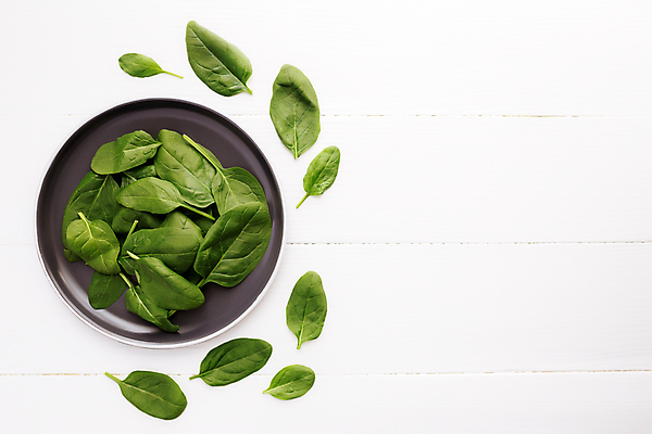 포토 JPG 해외이미지 식물 라이프스타일 음식 백그라운드 컨셉 잎 농업 다이어트 채소 재료 건강 요리 사람없음 초록색 정원 샐러드 흰색 나뭇가지 신선 그룹 사발 달콤 맛 먹기 허브 유기농 날것 시금치 내추럴 고립 숙성 채식주의자 카피스페이스 해외포토 나무 웰빙 산업 컬러 모션 생활 공백 사기그릇 채식 파일형식 이미지허브