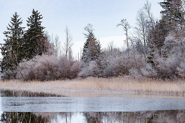 포토 JPG 해외이미지 나무 호수 여행 백그라운드 자연 지팡이 하늘 표면 산 건조 사람없음 야외 목재 물 파란색 반사 평화 얼음 거울 흰색 연못 숲 그림 캔버스 암초 내추럴 산악지대 사생활 잔물결 절정 해외포토 자연요소 식물 물결 컬러 컨셉 재료 생태계 파일형식 이미지허브
