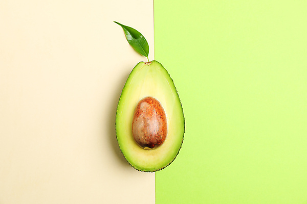 포토 JPG 해외이미지 사람없음 신선 유기농 아보카도 해외포토 웰빙 과일 파일형식 이미지허브