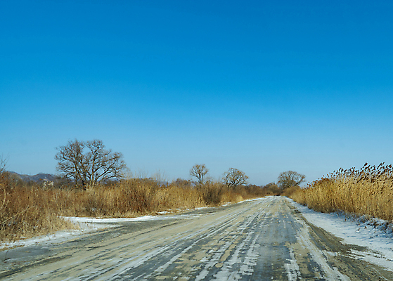 포토 JPG 해외이미지 나무 계절 도로 여행 백그라운드 겨울 자연 하늘 사람없음 파란색 노란색 얼음 시골 해외포토 자연요소 식물 길 컬러 교통시설 생태계 파일형식 이미지허브