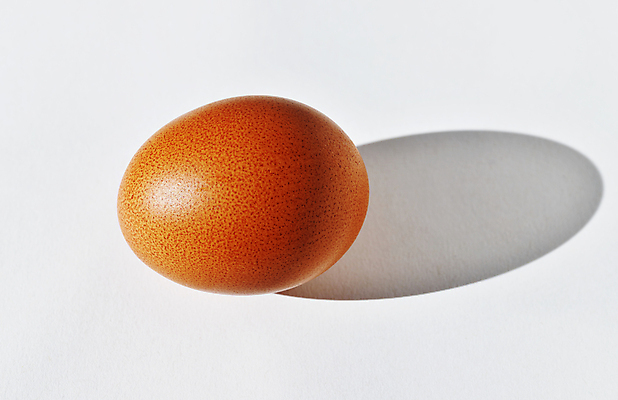 포토 JPG 해외이미지 스튜디오촬영 동물 음식 다이어트 재료 탁자 건강 요리 사람없음 갈색 노란색 계란 식사 껍질 흰색 신선 맛 아침식사 심볼 흰배경 유기농 날것 건강식 점심식사 단백질 생식 카피스페이스 해외포토 웰빙 컬러 가구 백그라운드 컨셉 실내 알 공백 영양소 파일형식 이미지허브