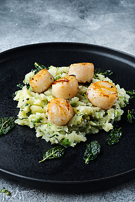 포토 JPG 해외이미지 접시 회색배경 조개 실내 사람없음 구이 가리비 관자 매시드포테이토 해외포토 식기 음식 백그라운드 어패류 내부 회색 파일형식 이미지허브