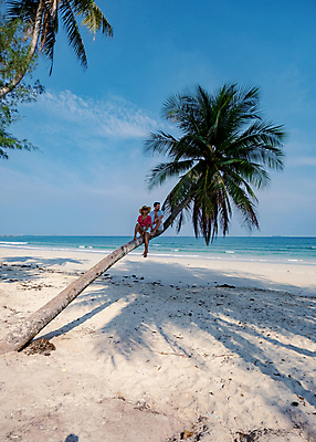 포토 JPG 해외이미지 나무 라이프스타일 커플 여자 남자 행복 유럽 아시아 모래 바다 여행 태국 휴가 열대 손바닥 사랑 동양인 풍경 야외 두명 여름 파란색 야자수 환경 맑음 산책 신혼여행 흰색 코코넛 이국적 터키석 파라다이스 해외포토 식물 손 계절 감정 나라 컬러 결혼 과일 관계 날씨 휴식 사람 인종 생활 보석 파일형식 이미지허브
