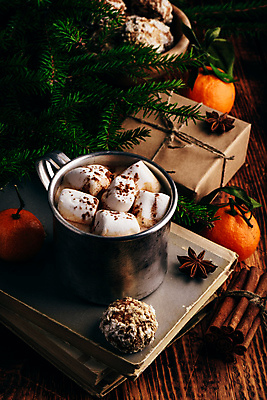 포토 JPG 해외이미지 빵 잎 귤 실내 따뜻함 사람없음 책 선물상자 머그컵 달콤 감성 코코아 마시멜로우 나무탁자 시나몬스틱 코코아가루 팔각회향 해외포토 식물 음료 음식 컨셉 과일 탁자 디저트 선물 내부 컵 상자 맛 가루 향신료 시나몬 파일형식 이미지허브