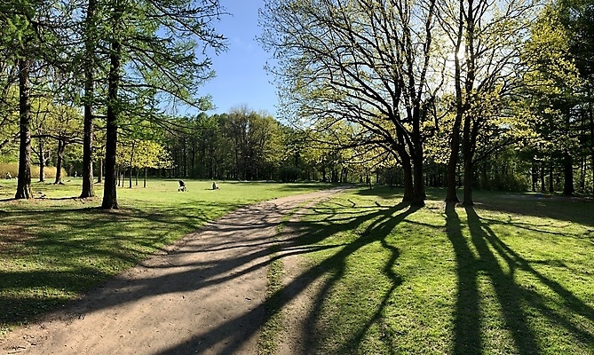 포토 JPG 해외이미지 나무 식물 길 백그라운드 자국 자연 하늘 추상 휴식 서기 사람 사람없음 야외 목재 울타리 사무실 걷기 봄 그룹 승차 숲 큼 방목 질감 지역 고립 삼림지대 화창 디톡스 해외포토 계절 컨셉 무늬 비즈니스 재료 모션 날씨 건강 담장 축산업 크기 생태계 파일형식 이미지허브