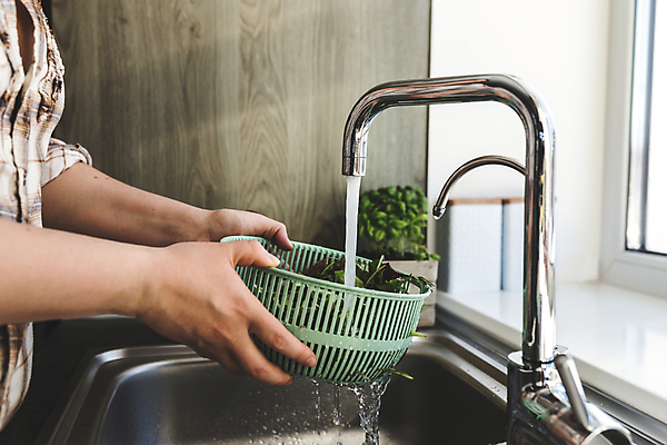 포토 JPG 해외이미지 라이프스타일 여자 음식 잎 농업 다이어트 채소 재료 주택 실내 건강 관리 요리 사람 사람없음 내부 초록색 물 금속 주방 샐러드 신선 떨어짐 씻기 빨래 상품 싱크대 준비 날것 흙더미 점심식사 바이오 위생관리 슈퍼푸드 해외포토 자연요소 식물 산업 컬러 컨셉 가사 재질 건물 생활 식사 청결 흙 개수대 건강식품 파일형식 더미 이미지허브