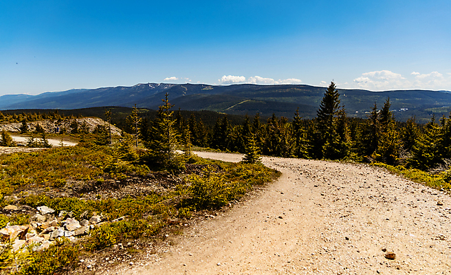 포토 JPG 해외이미지 나무 공원 유럽 길 여행 자국 자연 하늘 산 사람없음 야외 초록색 파란색 숲 오솔길 폴란드 내추럴 해외포토 식물 공공시설 나라 컬러 생태계 파일형식 이미지허브
