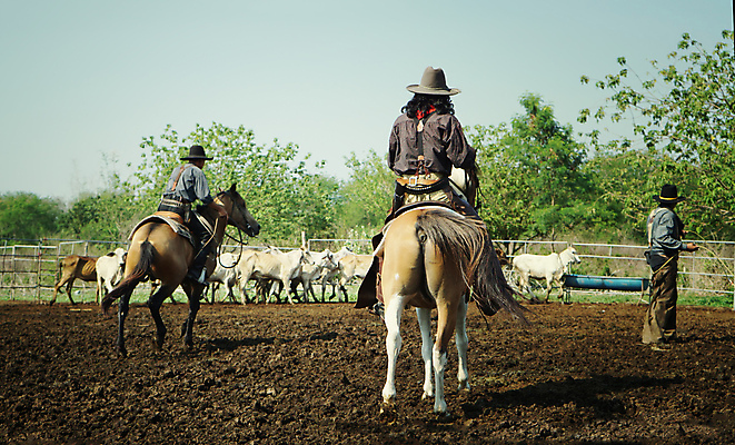포토 JPG 해외이미지 전신 남자 여러마리 서기 앉기 성인 세명 울타리 목장 말_동물 소 승마 성인남자만 해외포토 스포츠 다수 포유류 모션 사람 담장 남자만 성인만 파일형식 이미지허브