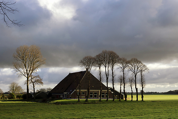 포토 JPG 해외이미지 나무 구름 농업 자연 하늘 풍경 사람없음 건물 농장 시골 네덜란드 해외포토 자연요소 식물 건축물 유럽 산업 생태계 파일형식 이미지허브