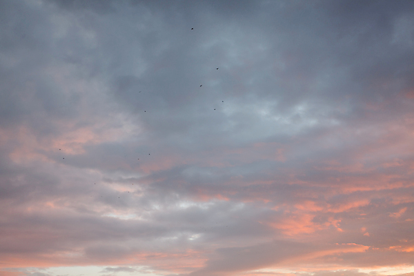 포토 JPG 해외이미지 구름 디자인 분홍색 백그라운드 오렌지 자연 벽지 하늘 아침 날씨 추상 풍경 사람없음 야외 빨간색 파란색 빛 컬러풀 햇빛 태양 뷰티 노란색 일출 보라색 어둠 황혼 일몰 새벽 광선 황금 저녁 질감 솜털 스카이라인 내추럴 강렬 해외포토 주간 자연요소 컬러 무늬 과일 노을 야간 생태계 파일형식 이미지허브
