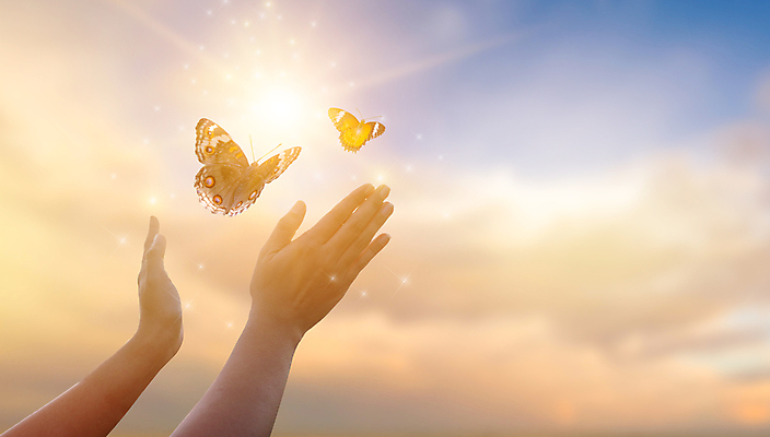 포토 JPG 해외이미지 손 나비 하늘 신체부위 반짝임 노을 자유 손내밀기 해외포토 자연요소 곤충 컨셉 모션 사람 손짓 파일형식 이미지허브