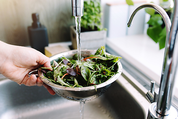 포토 JPG 해외이미지 라이프스타일 손 잎 농업 다이어트 채소 재료 주택 실내 건강 요리 사람 사람없음 내부 초록색 물 달리기 금속 주방 샐러드 젖음 신선 떨어짐 씻기 빨래 상품 상추 싱크대 준비 유기농 날것 흙더미 내추럴 바이오 채식주의자 슈퍼푸드 비건 해외포토 자연요소 식물 웰빙 산업 음식 컬러 컨셉 가사 모션 재질 건물 생활 신체부위 청결 흙 개수대 채식 건강식품 파일형식 더미 이미지허브